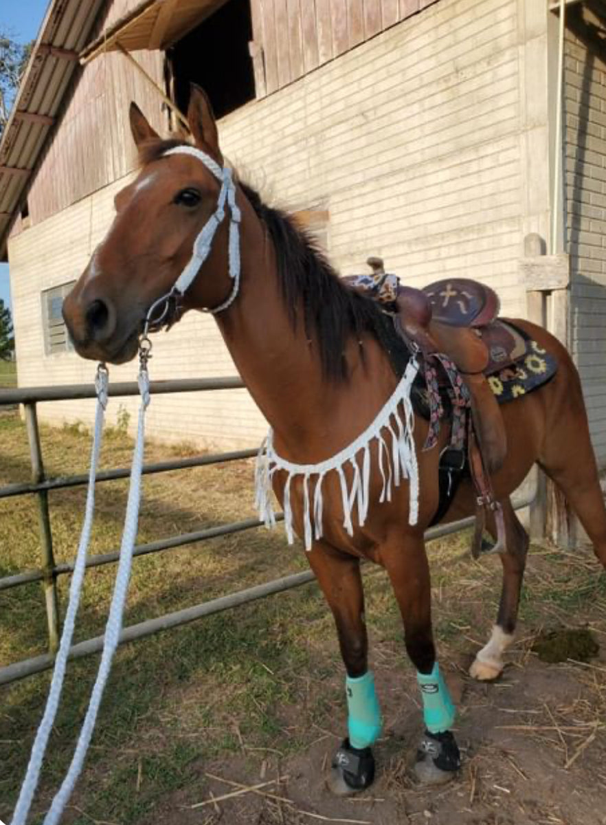 Tassel Browband Headstall and Matching Reins,Braided Tack,Custom outlets Horse Tack,Paracord Tack,Handmade,Gift For Her