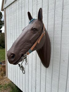 Teal leather tack set one ear and tripping collar.