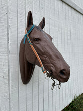 Teal leather tack set one ear and tripping collar.