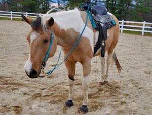 Barrel reins with adjustable grip knots variety of lengths 1/2"