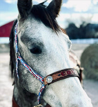 PERSONALIZED patriotic print nylon horse halter.