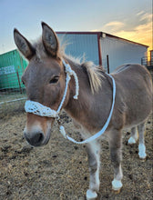 Mule tape Braided horse halter white