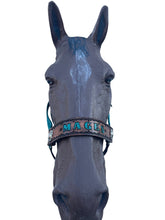 PERSONALIZED   nylon horse halter dark teal