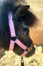 PERSONALIZED pink bandana nylon horse halter or pony halter.