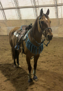 Neon turquoise and black fringe breast collar with a wither strap