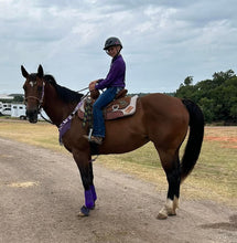 purple Aloha  fringe tack set breast collar nylon horse size