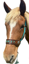PERSONALIZED   nylon horse halter dark teal