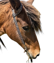 One Ear Headstall cheetah print with quick change clips  horse size