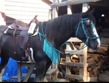 fringe breast collar teal and turquoise