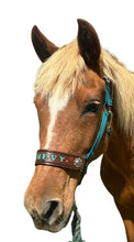 PERSONALIZED   nylon horse halter dark teal