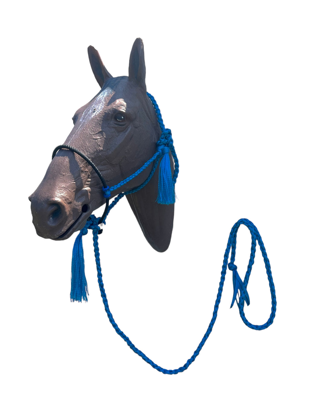 Lariat mule tape horse halter with lead royal blue