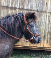 Chocolate brown complete bitless bridle side pull hackamore with reins ....pony, Cob, Horse. or Draft horse size