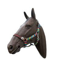 PERSONALIZED tie dye nylon horse halter