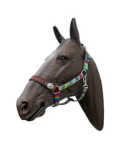 PERSONALIZED tie dye nylon horse halter