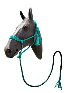 Green turquoise Braided mule tape horse halter with flat noseband