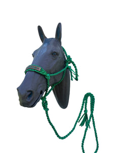Personalized Kelley Green Braided mule tape horse halter with lead