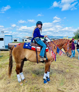 Patriotic tack set all sizes