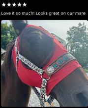 PERSONALIZED Cow print nylon horse halter