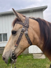 Browband Headstall cheetah print with horse size