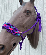 Braided horse halter purple