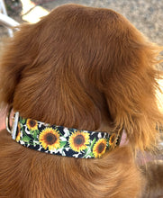 Cow sunflower Nylon dog collar (option to personalize)