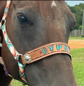 PERSONALIZED aztec print nylon horse halter