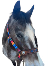 PERSONALIZED serape print nylon horse halter.