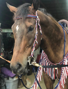 Fringe Barrel Reins, You choose color