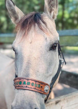 PERSONALIZED black nylon horse halter