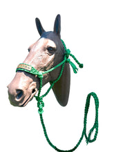 Personalized Kelley Green Braided mule tape horse halter with lead