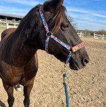 PERSONALIZED patriotic print nylon horse halter