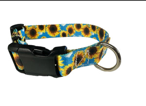 Sale M dog collar sunflower