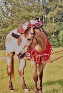 Fringe Mule tape horse breast collar with leather tugs in red