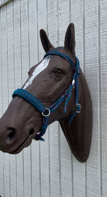 complete Bitless bridle side pull hackamore in carribean blue and lilac