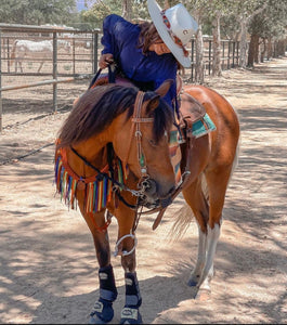 Serape  Tack set …. All sizes