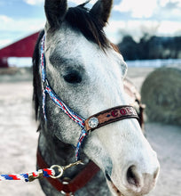 PERSONALIZED patriotic print nylon horse halter