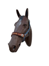 PERSONALIZED dinosaur print nylon horse halter