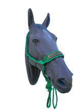Personalized Kelley Green Braided mule tape horse halter with lead