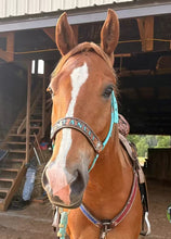PERSONALIZED   nylon horse halter turquoise