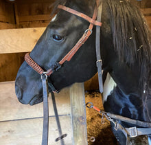 Brown and black side pull hackamore  bitless attachment.... with black or  brown chinstrap...all sizes