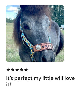 PERSONALIZED sunflower print nylon horse halter