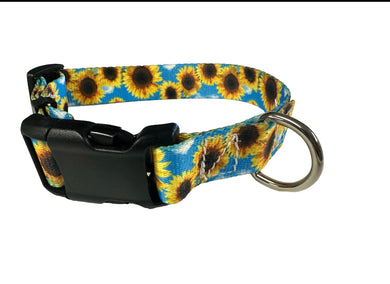 Sale s dog collar sunflower  11-13”