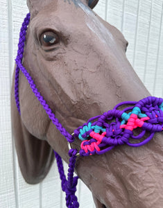 Braided horse halter purple