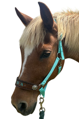 PERSONALIZED   nylon horse halter turquoise