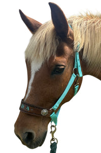 PERSONALIZED   nylon horse halter turquoise