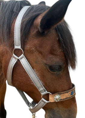 PERSONALIZED   nylon horse halter silver grey.