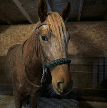 LARGE HORSE side pull hackamore  with black chinstrap