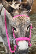 Complete Bitless bridle for ponie fuchsia….side pull hackamore with reins