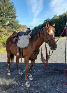 Fringe Barrel Reins