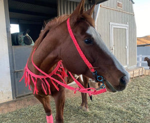 Mule tape horse tripping collar pink